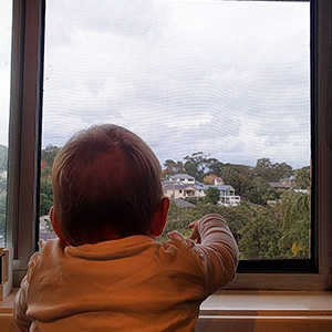 window fall prevention